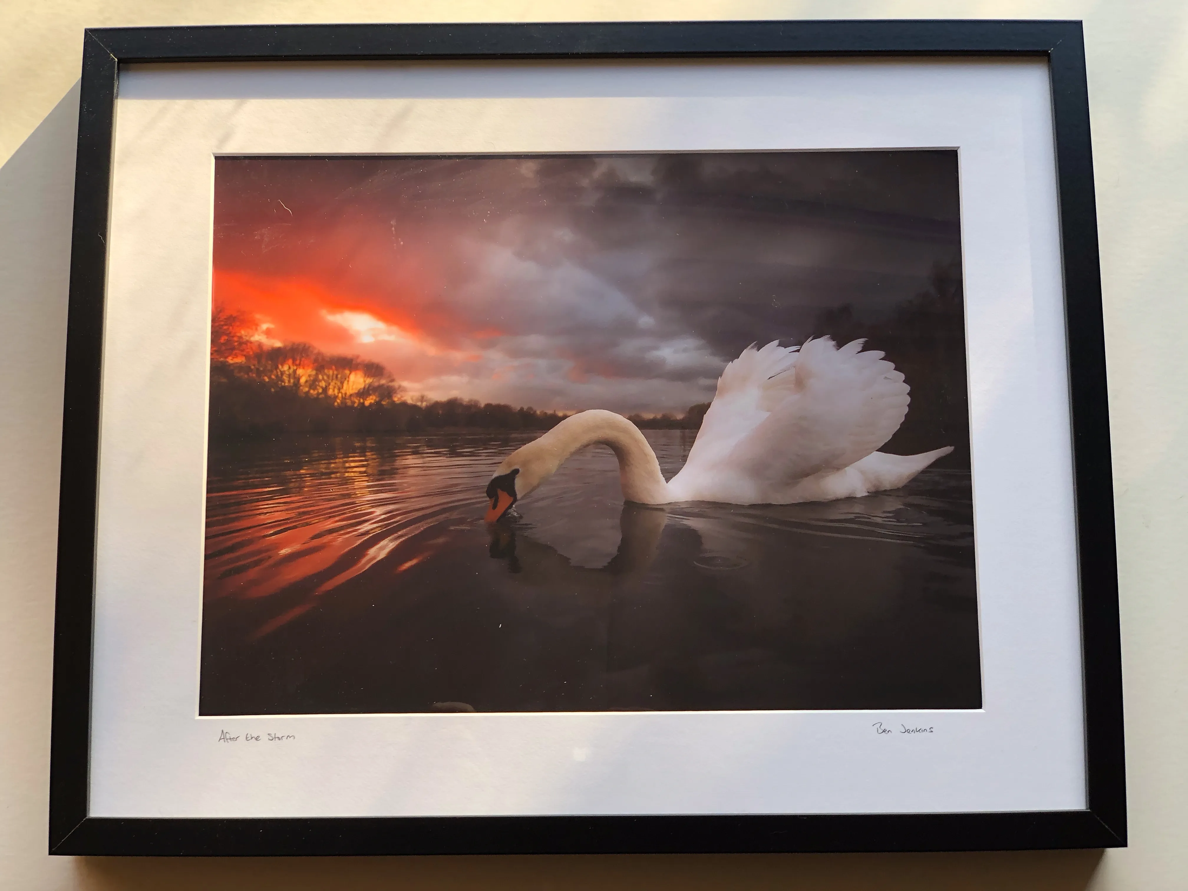 Framed photograph of a swan beneath a dramatic red sunset