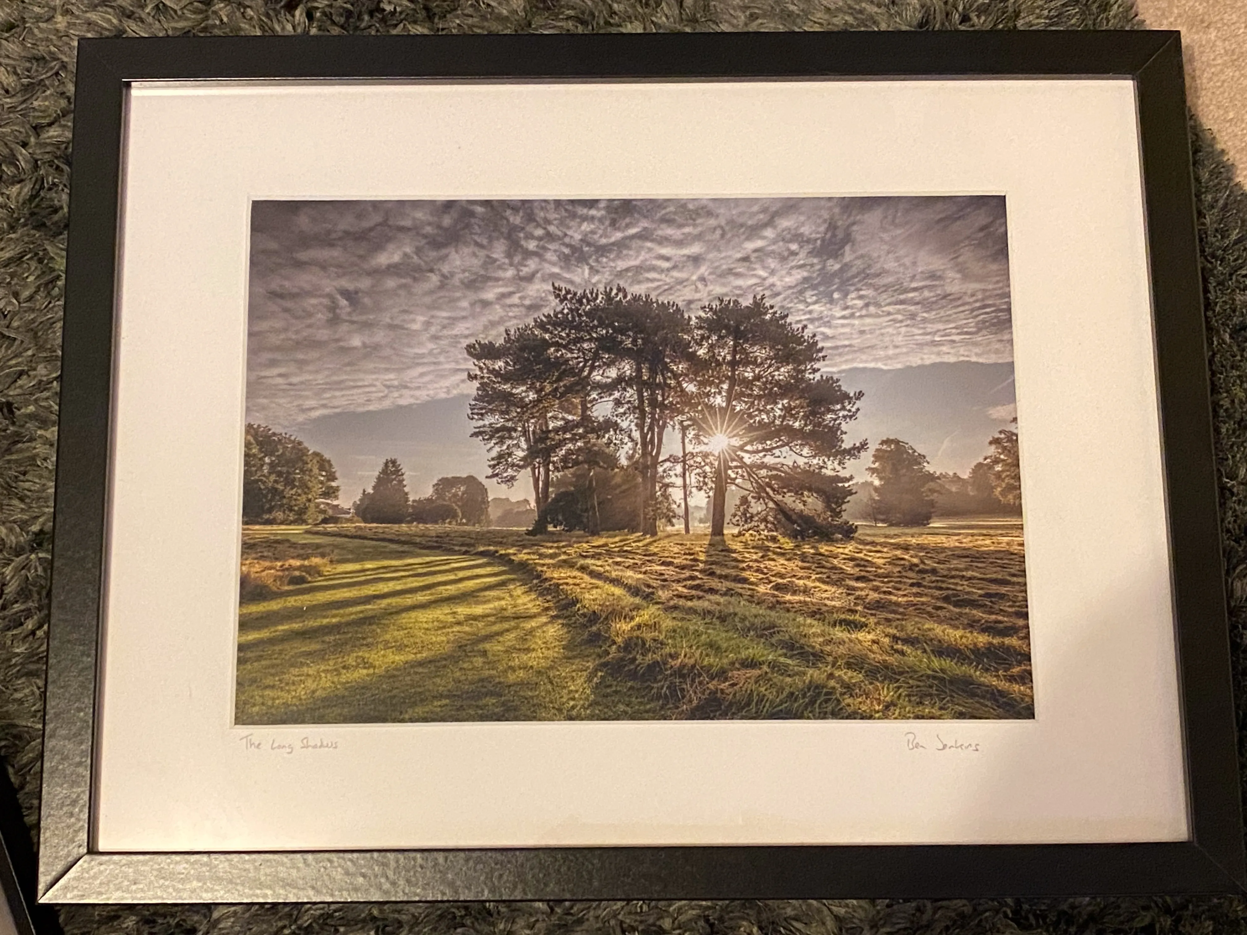 Framed landscape photograph of trees and long shadows in golden light