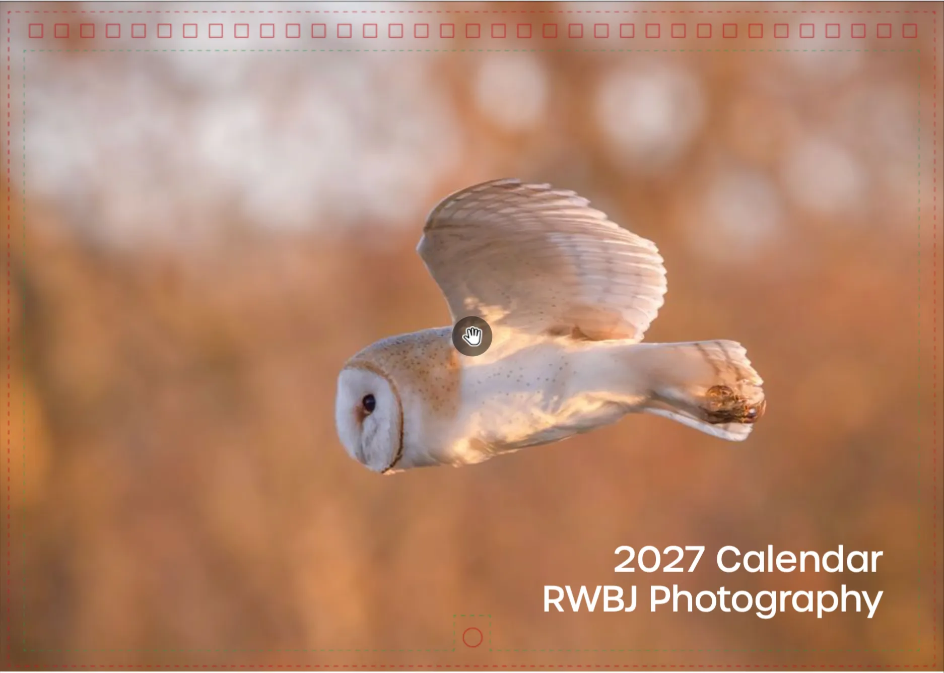 2027 RWBJ Photography wildlife calendar cover featuring a barn owl in flight