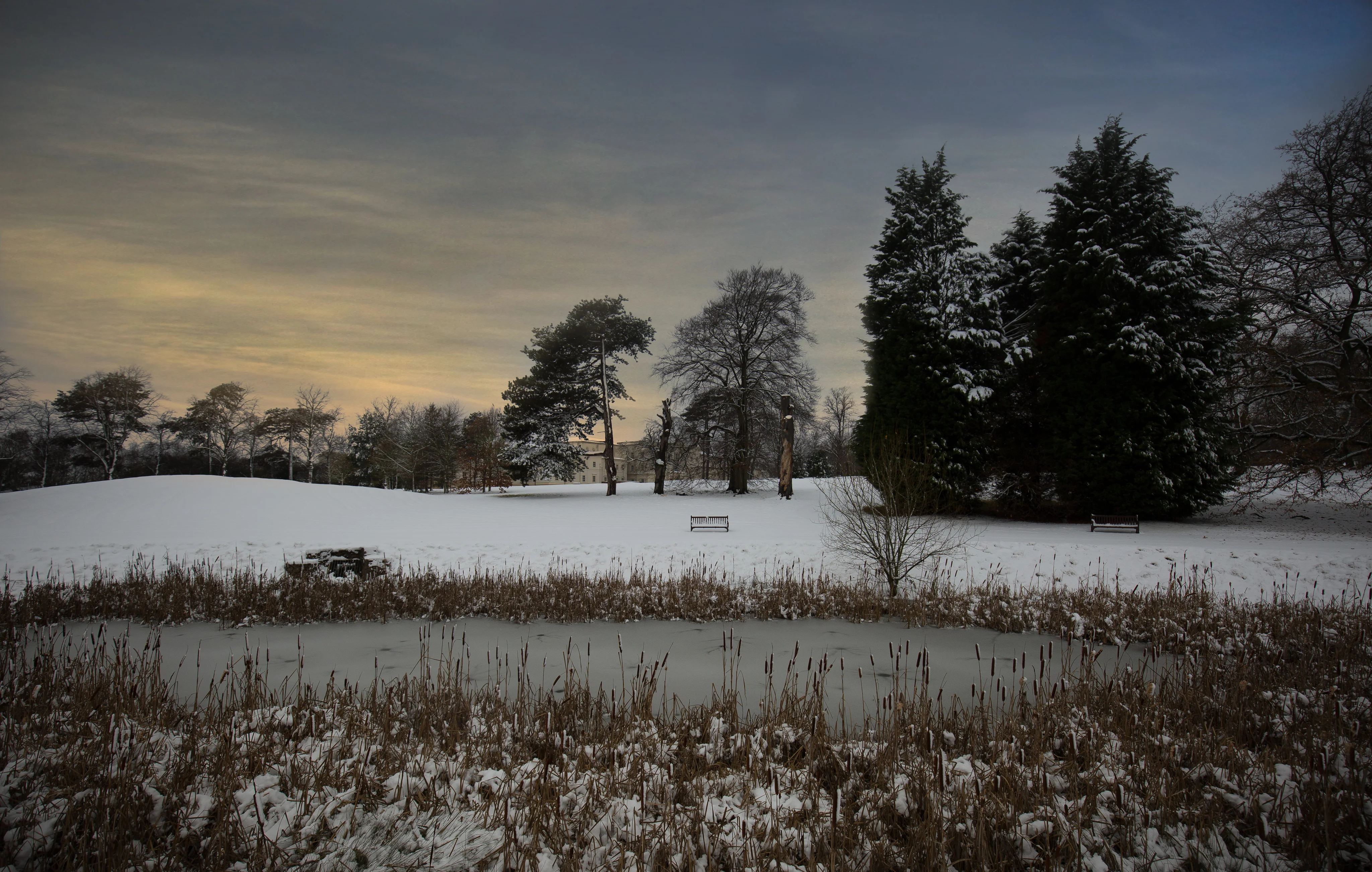Snow-covered countryside with bare trees beneath a muted winter sky